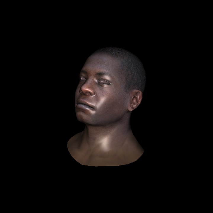 TinyRenderer 输出的带纹理 African head 模型